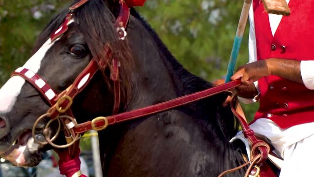 Slow motion shot of tent pegging horse in Pakistan 