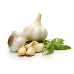 Close up of garlic isolated on a white background