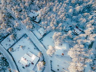 winter landscape with snow
