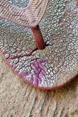 texture pattern lining flip flops