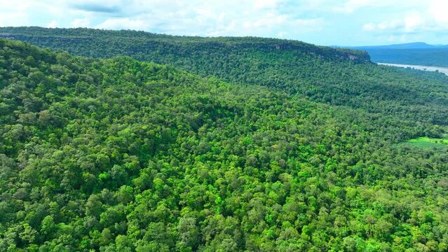 Pha Taem, seen from a drone, showcases ancient rock formations, revealing geological history through stratigraphy and erosion patterns. Pha Taem National Park, Thailand. Travel Wonders concept.

