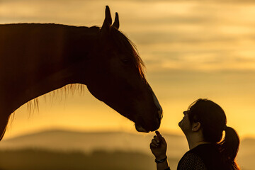 A young female equestrian and her arab berber horsein front of a romantic sunset landscape. Bond between a woman and her horse