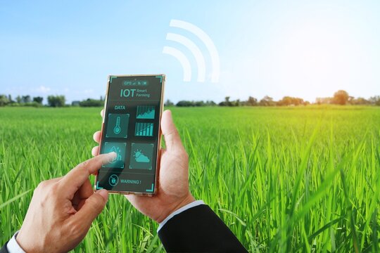 Smart farm concept with modern technology Applied in rice fields deep learning artificial intelligence network