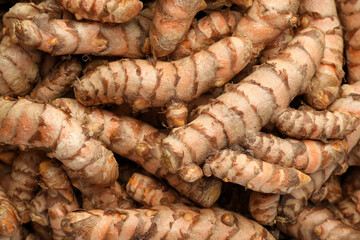 Many raw turmeric rhizomes as background, top view