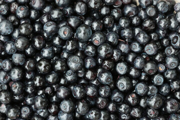 Many bilberries as background, top view. Seasonal berries