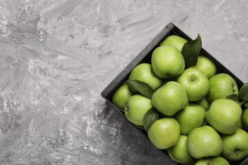 Fresh green apples in crate on grey textured table, top view. Space for text