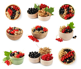 Set of red, white and black currants isolated on white