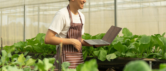 Asian smart farmer holding laptop while checking vegetable in the organic farm. Agricultural entrepreneur who started a vegan farming business.