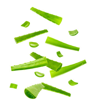  Falling Aloe Vera and slices isolated on white background.
