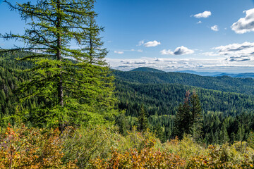 Beautiful Scenery in Mount Spokane State Park. Mead, Washington.