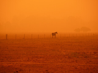 Smoke Haze from Black Summer Bushfires near Merimbula 2019