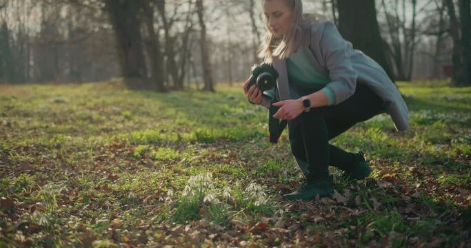 Explorer photographing snowdrop flowers through camera