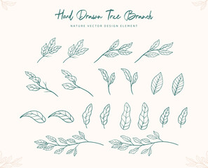 hand drawn tree leaf and branch outline vector graphic element decoration