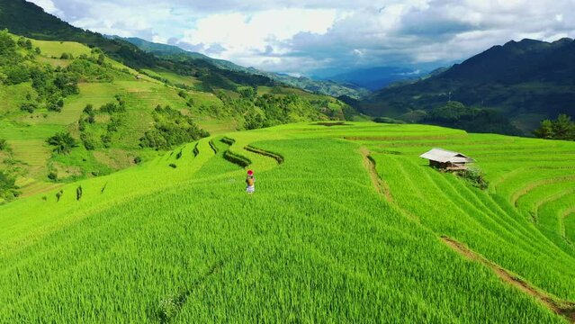 Drone view of the Vietnam rice fields in season because they are planted and green on the mountains,Mu cang chai.and Asian women wearing traditional Vietnamese clothes 