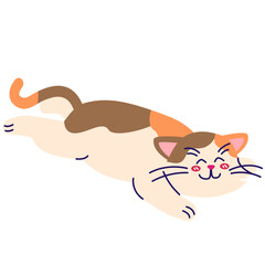 Cute Cat Illustration