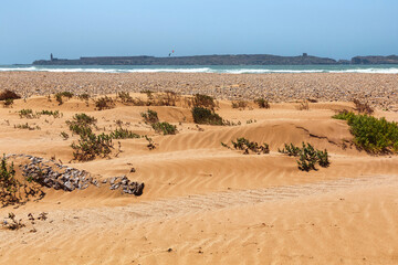 View of the sandy beach of the African ocean coast. Essaouira, Morocco.