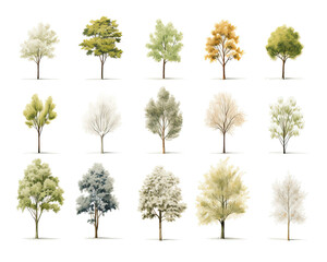 Fototapeta premium Serenity in Nature: Isolated Set of Trees Illustrations on White Background
