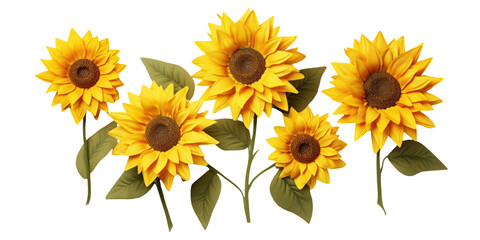 Sunflower Set on White
