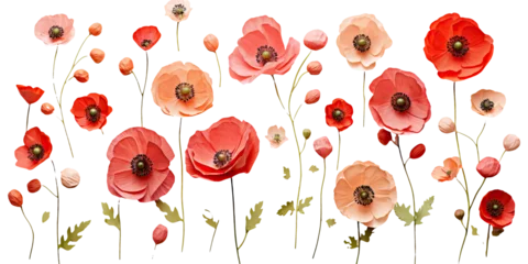 Gardinen Poppy Collection © dasom