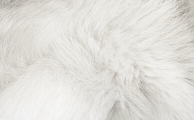 Beautiful abstract white fur background texture