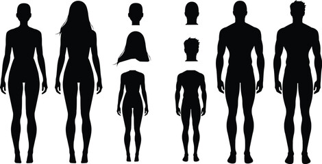 silhouette Human Body Male and female with and without hair Vector 