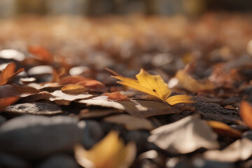 autumn leaves in the park
