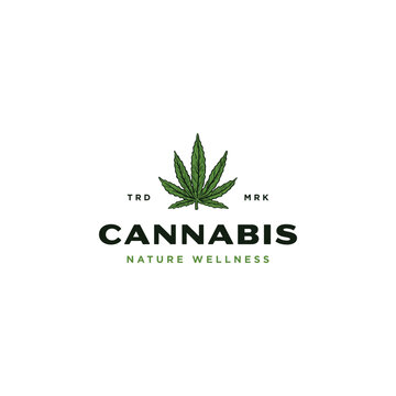 Classic Vintage Retro Country Emblem Cannabis Nature Wellnes logo badge design inspiration, Marijuana Cannabis Weed CBD THC Label Stamp Logo design vector