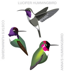 Cute Bird Anna's Hummingbird Set Cartoon Vector