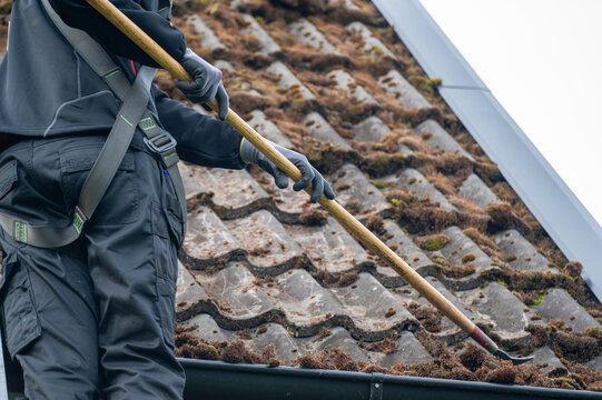Workers cleaning roof tiles covered in moss
