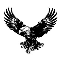 Bald flying eagle Illustrations