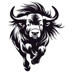 Dangerous black long hair wild yak running towards