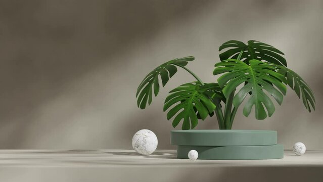 looping seamless shadow animation with monstera plant and marble ball, 3d video rendering scene template of dark green cylinder podium