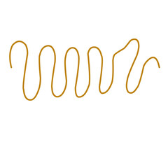 Hand Drawn Rhythm of Life