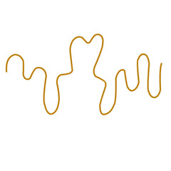 Hand Drawn Rhythm of Life