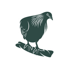 Nicobar pigeon design vector illustration. Nicobar pigeon Silhouette. Bird design template.