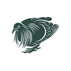 Nicobar pigeon design vector illustration. Nicobar pigeon Silhouette. Bird design template.