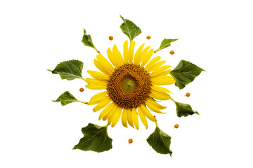 yellow flowers sunflowers and leaf local flora arrangement flat lay postcard style 