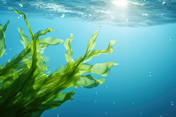 Fototapeta na wymiar Underwater view of plant in water. This image can be used to showcase aquatic life or for educational purposes about underwater flora.