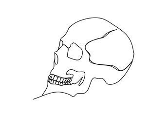 The human skull. One line drawing vector illustration.