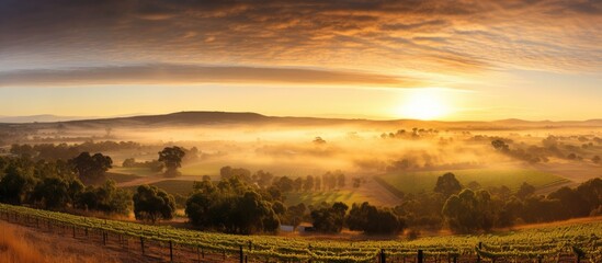 Sunrise in Clare Valley Australia captured in a panoramic photo - obrazy, fototapety, plakaty