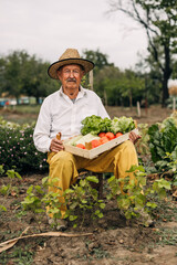 Senior man sitting in the garden and holding a crate of fresh harvested vegetables.