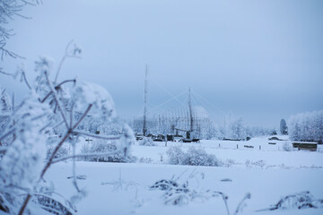 Fototapeta premium Winter snowy frosty landscape. The forest is covered with snow. Frost and fog in the park.