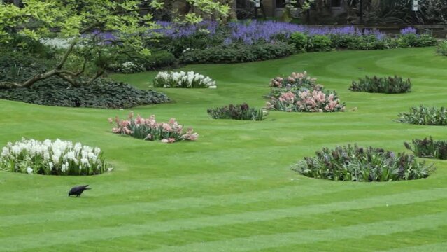 Beautiful landscaped garden in springtime with green grass and flowers