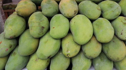 Pile of green mango Okrong Mango, Anacardiaceae, Mangifera indica Linn. selling in the market