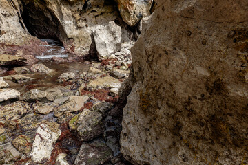red seaweed on a rocky beach