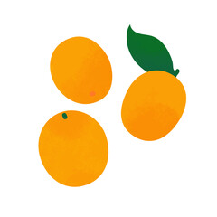 金柑のイラスト
