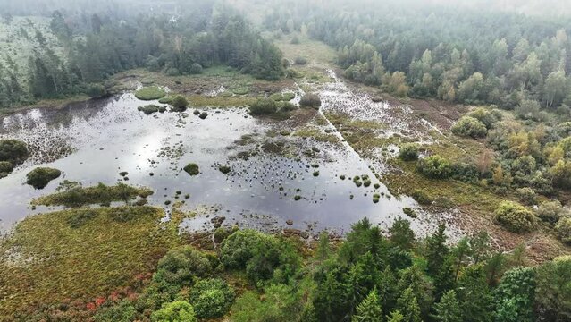 Aerial static view of the wetland where common cranes (Grus grus) have stopped before their autumn migration to south. Saaremaa, Estonia.