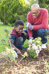 Happy african american grandfather and grandson taking care of plants in sunny garden © WavebreakMediaMicro