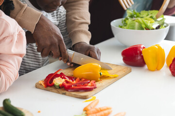 Happy african american father and son chopping vegetables in kitchen, slow motion
