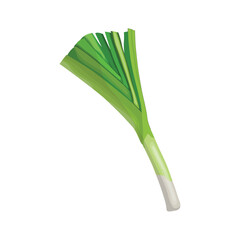 Vector illustration single and group off green leek vegetables. Organic agriculture food product. Healthy, delicious, nutrition and fresh for vegan